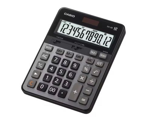 CASIO 12位計算機 DS-2B