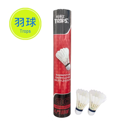 成功 入門羽球(12入) 45080