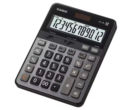 CASIO 12位計算機 DS-2B